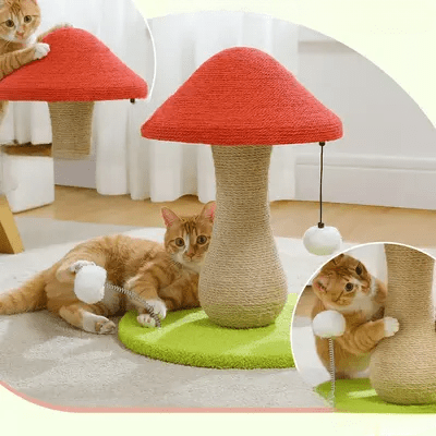 Arbre à Chat - MushroomCatTower™ - Famille Royal Chat