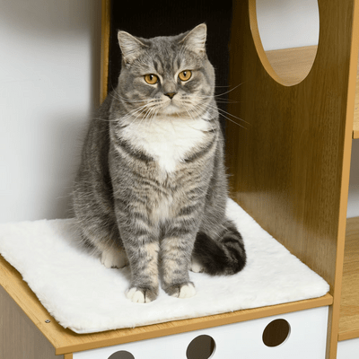 Arbre à Chat - PurrNestTree™ - Famille Royal Chat