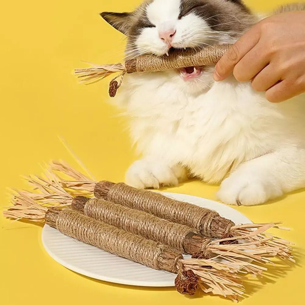 Bâton à mâcher pour chat - PurrStick™ - Famille Royal Chat