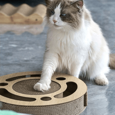 Grattoir Chat - PurrRoundScratcher™ - Minimaliste - Famille Royal Chat