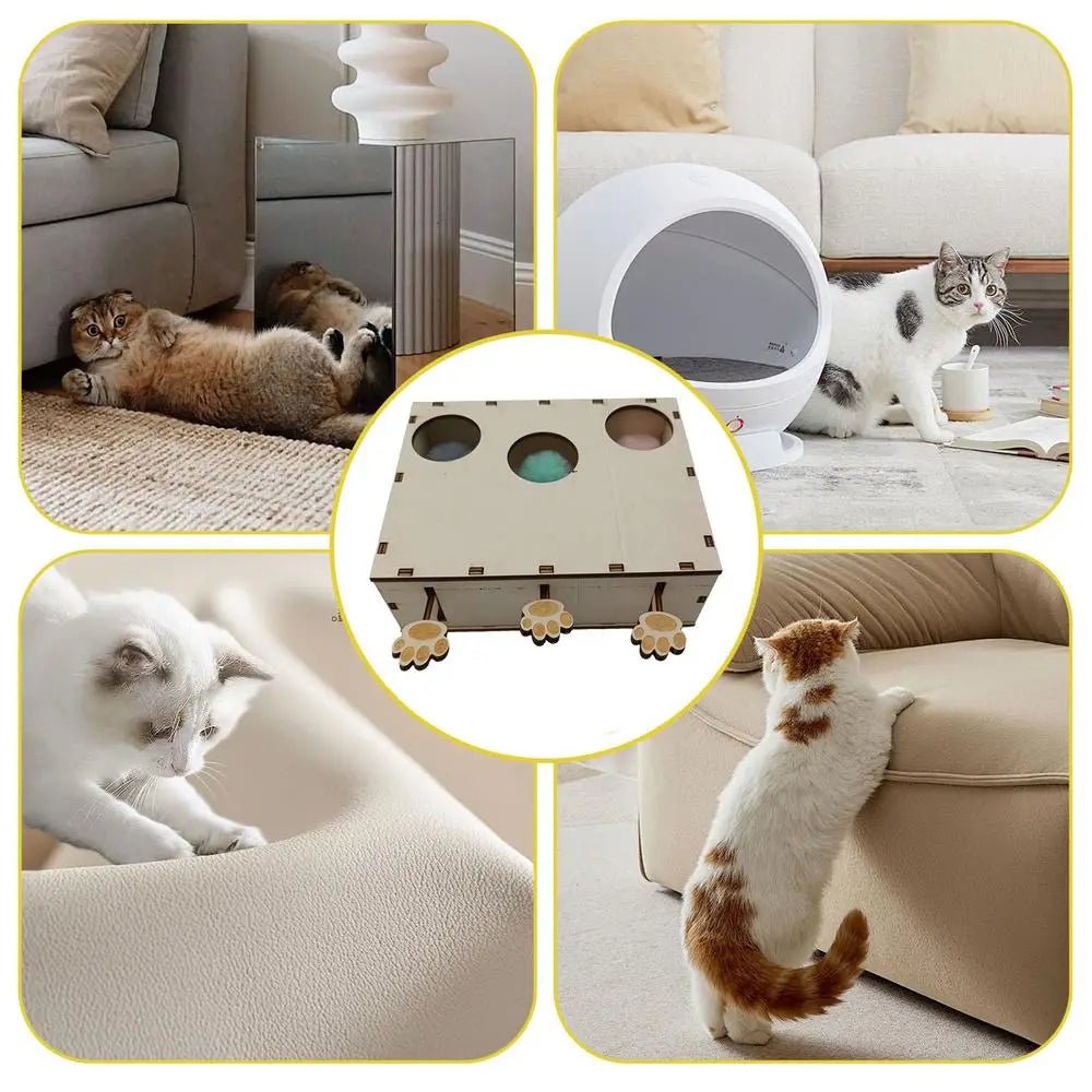 Jouet Interactif Chat - CatWhack™ - Famille Royal Chat