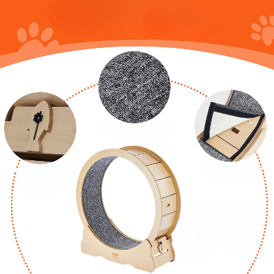 Roue Chat - KittyTread™ - Beige - Famille Royal Chat