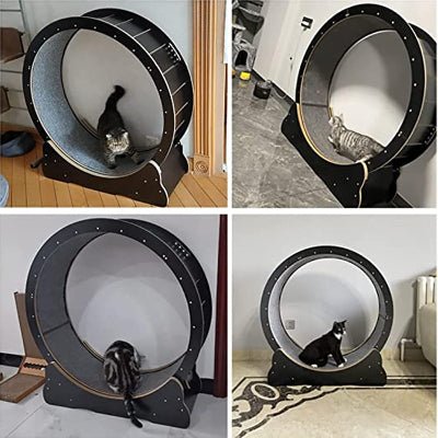 Roue Chat - KittyTread™ - Noir - Famille Royal Chat