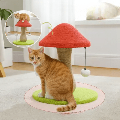 Arbre à Chat - MushroomCatTower™ - Famille Royal Chat