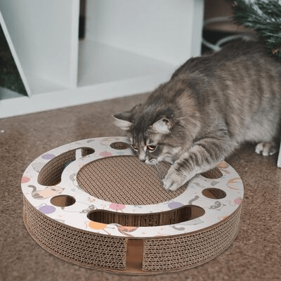 Grattoir Chat - PurrRoundScratcher™ - Chats & Balles - Famille Royal Chat