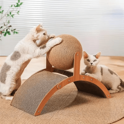 Griffoir pour Chat - Scratch&PlayCatBoard™ - Arc - Famille Royal Chat