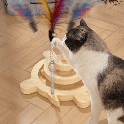 Jouet en Bois - SpinningCatToy™ - Grenouille - Famille Royal Chat
