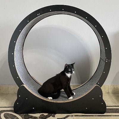 Roue Chat - KittyTread™ - Noir - Famille Royal Chat